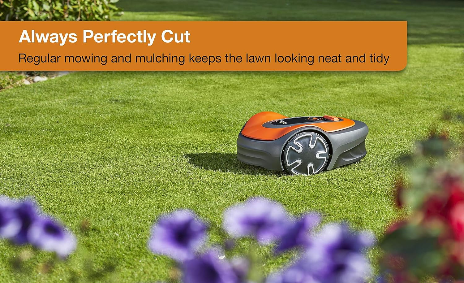 Easilife 250 GO Robotic Lawn Mower - Cuts up to 250 Sq M, Ultra Quiet Mowing & FLY077 Robotic Winter Protection Box for 1200R and Easilife - 597657201