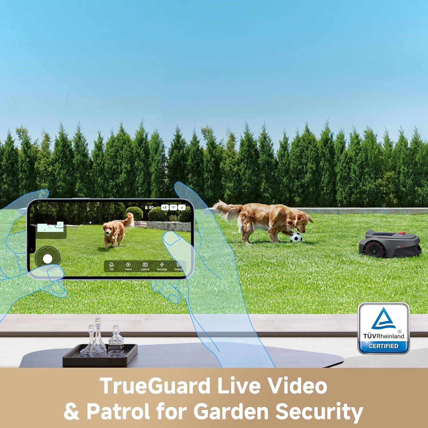 Viax 300 Robot Lawnmower without Boundary, Recommended 300 ㎡, Ai-Assisted Auto Mapping, U-Shape Path Planning, Dual-Vision Obstacle Avoidance, Edge Cutting, Complex Terrain, App Control