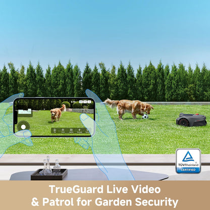 Viax 300 Robot Lawnmower without Boundary, Recommended 300 ㎡, Ai-Assisted Auto Mapping, U-Shape Path Planning, Dual-Vision Obstacle Avoidance, Edge Cutting, Complex Terrain, App Control